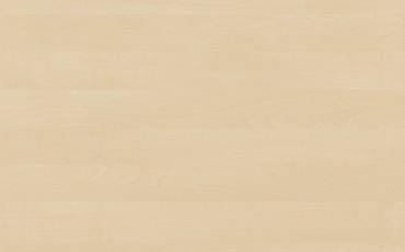 Береза светлая